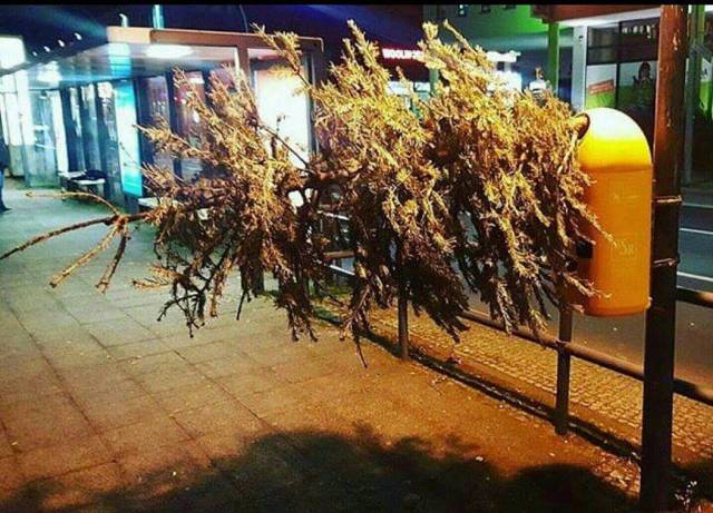 daily picdump 99 pics 41.html - 99 HD Photos | Premium Gallery 2018