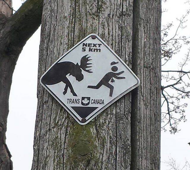 daily picdump 99 pics 41.html - 99 HD Photos | Premium Gallery 2018