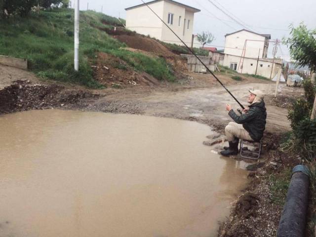 daily picdump 99 pics 41.html - 99 HD Photos | Premium Gallery 2018