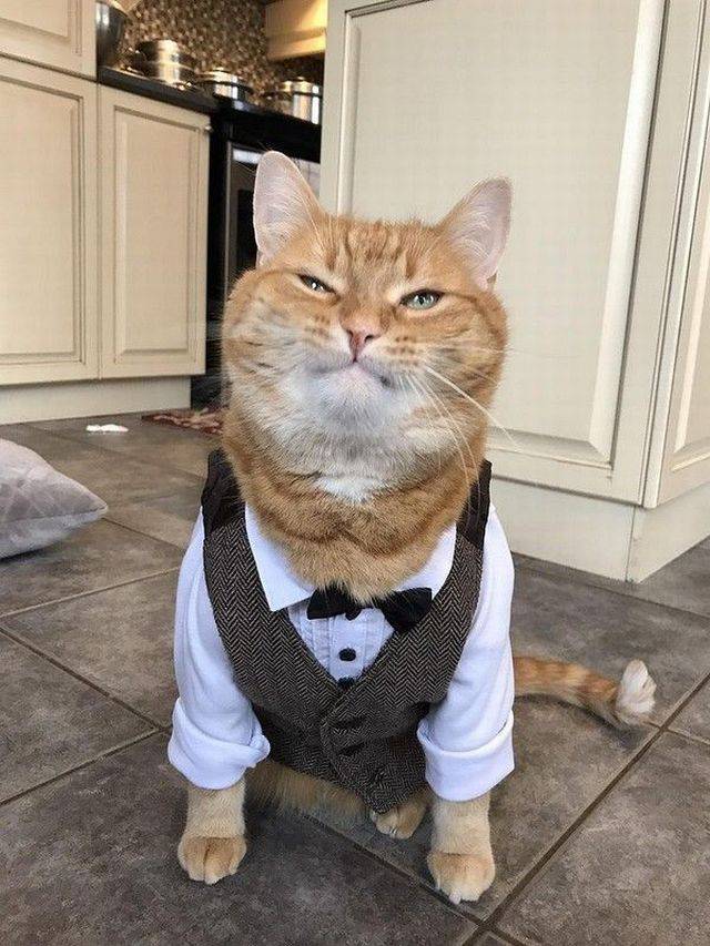 daily picdump 99 pics 41.html - 99 HD Photos | Premium Gallery 2018