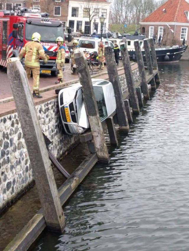 daily picdump 99 pics 41.html - 99 HD Photos | Premium Gallery 2018