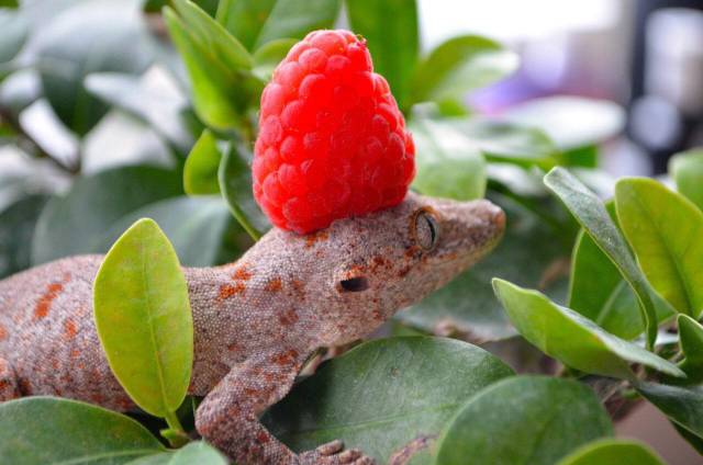 morning picdump 51 pics 18.html - 51 HD Photos | Premium Gallery 2018