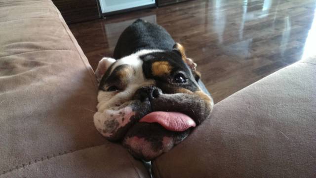 morning picdump 51 pics 18.html - 51 HD Photos | Premium Gallery 2018