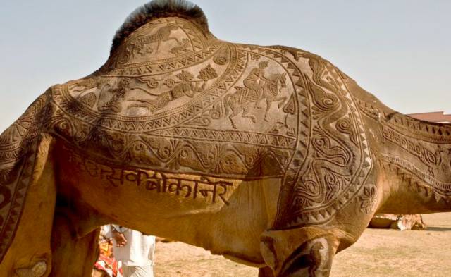 morning picdump 51 pics 18.html - 51 HD Photos | Premium Gallery 2018