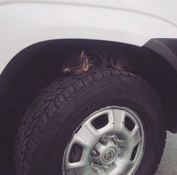 morning picdump 51 pics 18.html - 51 HD Photos | Premium Gallery 2018