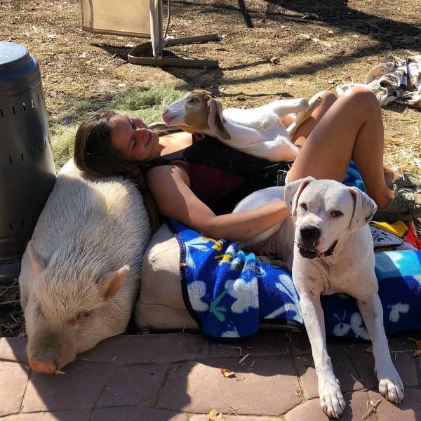 daily picdump 94 pics 16.html - 94 HD Photos | Premium Gallery 2018