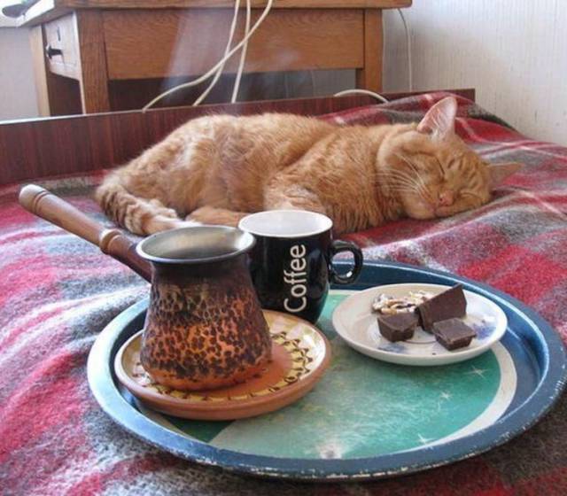 daily picdump 94 pics 16.html - 94 HD Photos | Premium Gallery 2018