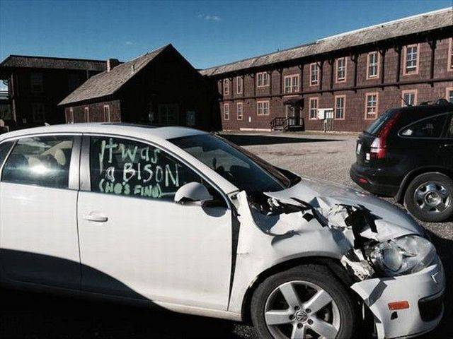 daily picdump 94 pics 16.html - 94 HD Photos | Premium Gallery 2018