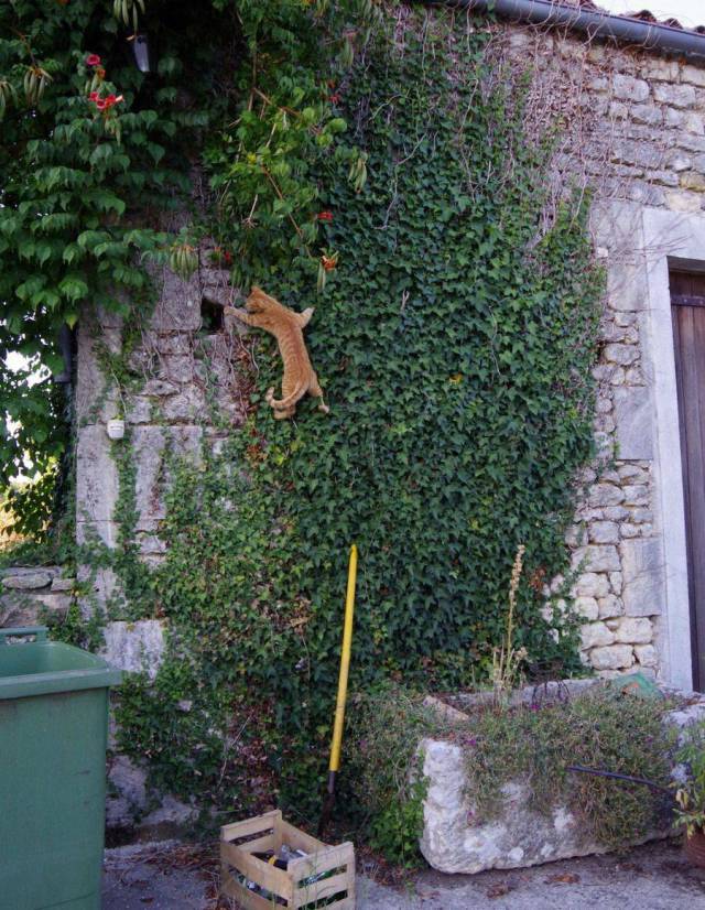 daily picdump 94 pics 16.html - 94 HD Photos | Premium Gallery 2018