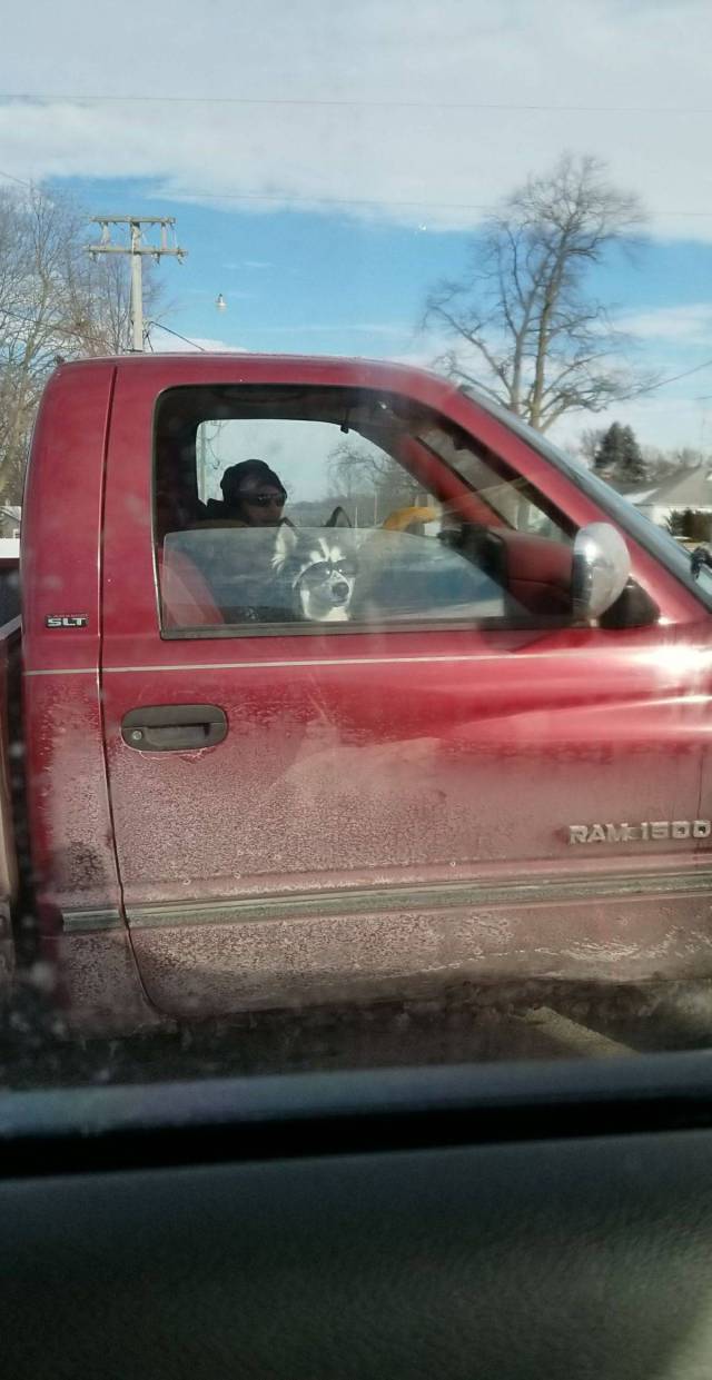 daily picdump 94 pics 16.html - 94 HD Photos | Premium Gallery 2018