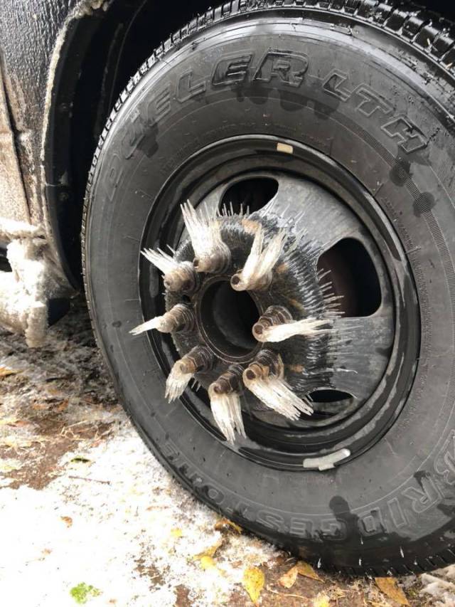 morning picdump 56 pics 10.html - 56 HD Photos | Premium Gallery 2018