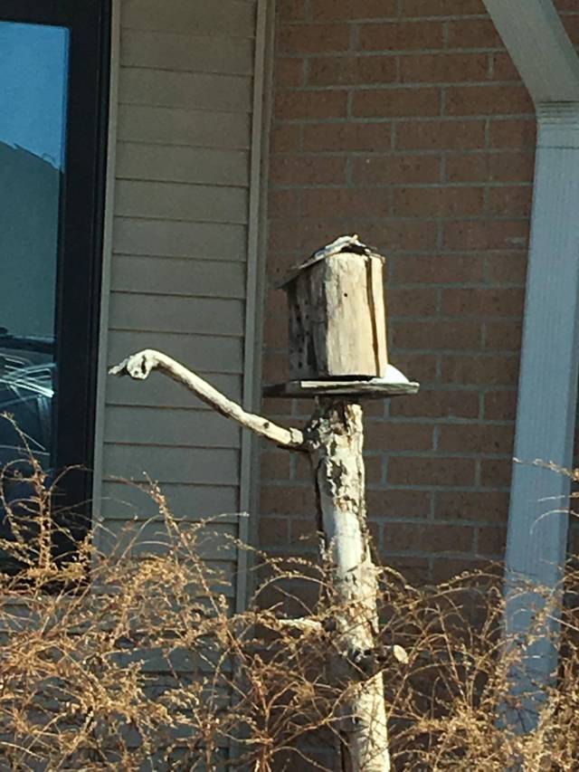 morning picdump 56 pics 10.html - 56 HD Photos | Premium Gallery 2018