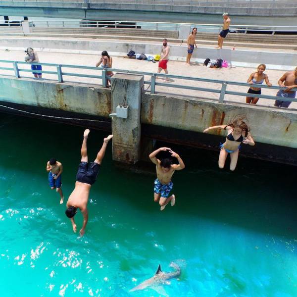 daily picdump 93 pics 31.html - 93 HD Photos | Premium Gallery 2018