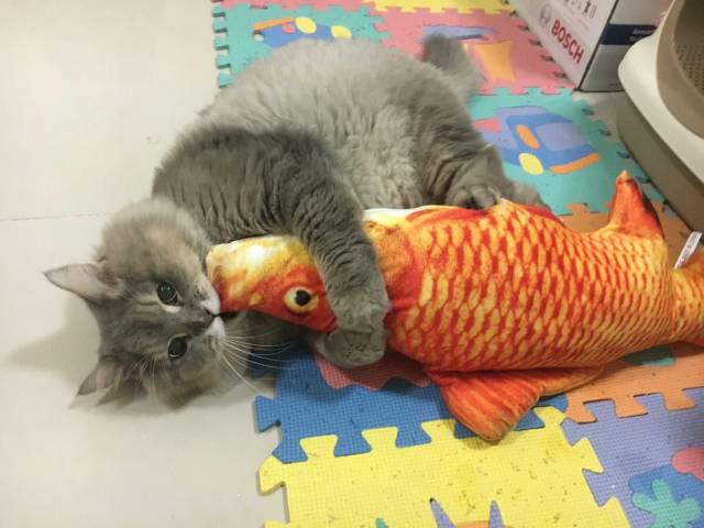 daily picdump 93 pics 31.html - 93 HD Photos | Premium Gallery 2018