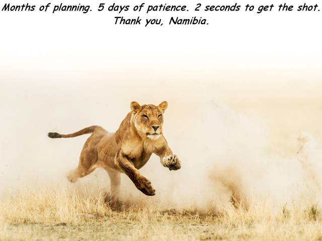 daily picdump 93 pics 31.html - 93 HD Photos | Premium Gallery 2018