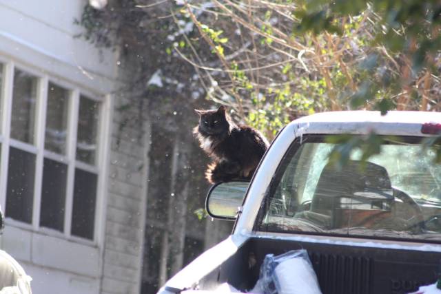 daily picdump 93 pics 31.html - 93 HD Photos | Premium Gallery 2018