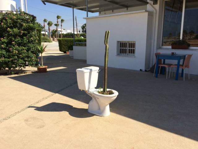 daily picdump 93 pics 31.html - 93 HD Photos | Premium Gallery 2018