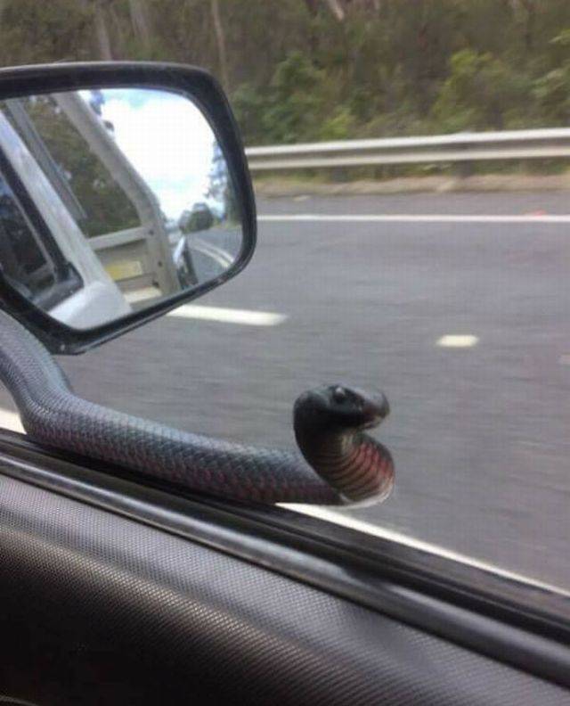 daily picdump 93 pics 31.html - 93 HD Photos | Premium Gallery 2018