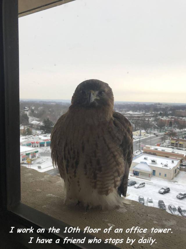 daily picdump 93 pics 31.html - 93 HD Photos | Premium Gallery 2018