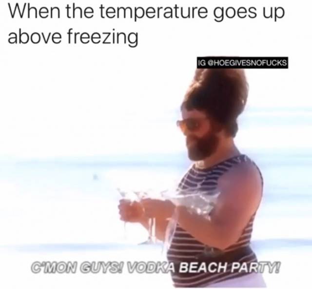 Memes to Amuse Your Tired Mind