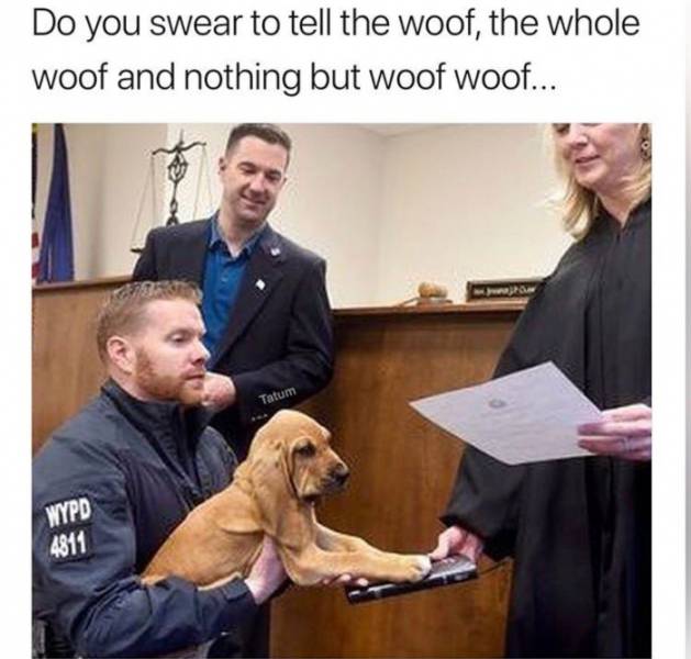 Memes to Amuse Your Tired Mind