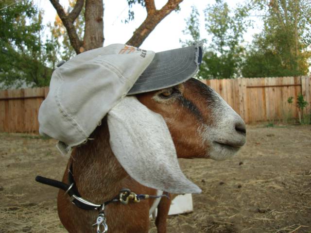 morning picdump 51 pics 12.html - 51 HD Photos | Premium Gallery 2018