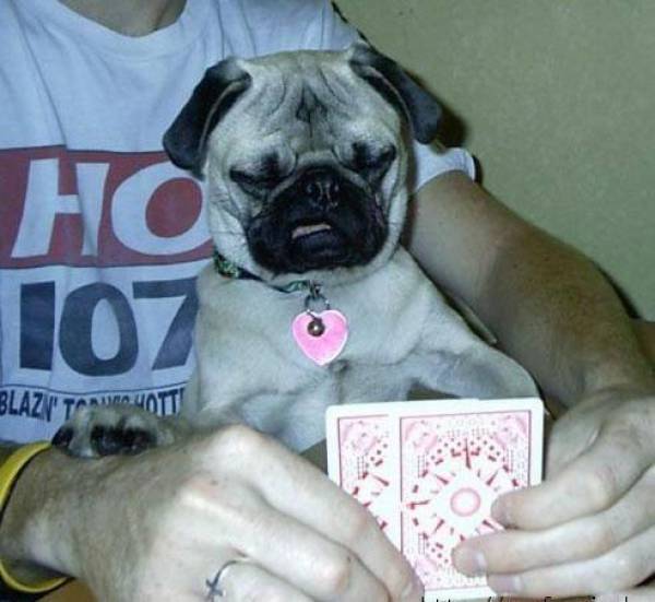 morning picdump 51 pics 12.html - 51 HD Photos | Premium Gallery 2018