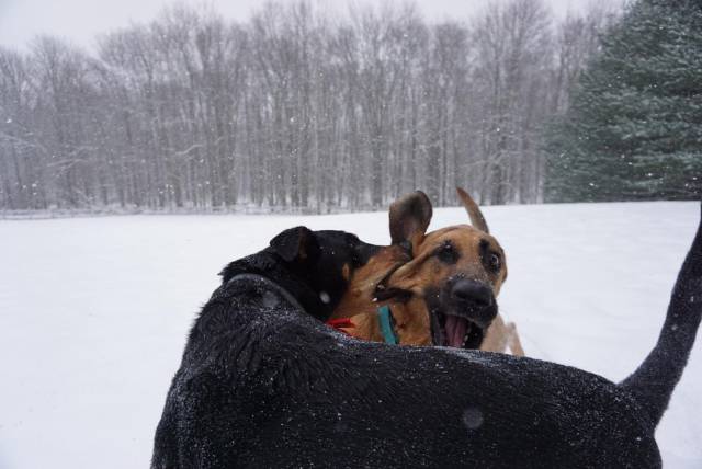 morning picdump 51 pics 12.html - 51 HD Photos | Premium Gallery 2018