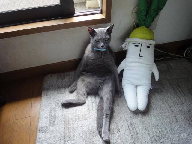 daily picdump 95 pics 2.html - 95 HD Photos | Premium Gallery 2018