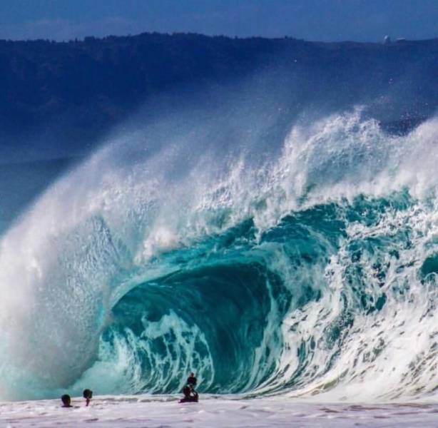 daily picdump 95 pics 2.html - 95 HD Photos | Premium Gallery 2018