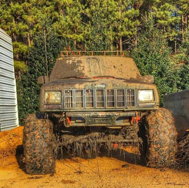 daily picdump 95 pics 2.html - 95 HD Photos | Premium Gallery 2018