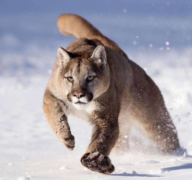 daily picdump 95 pics 2.html - 95 HD Photos | Premium Gallery 2018