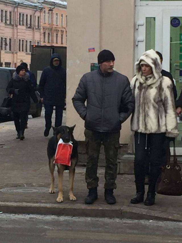 daily picdump 95 pics 2.html - 95 HD Photos | Premium Gallery 2018