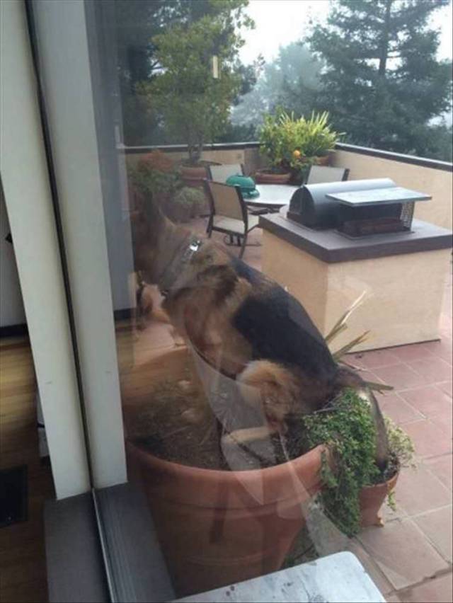 daily picdump 95 pics 2.html - 95 HD Photos | Premium Gallery 2018