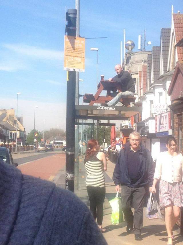 daily picdump 95 pics 2.html - 95 HD Photos | Premium Gallery 2018