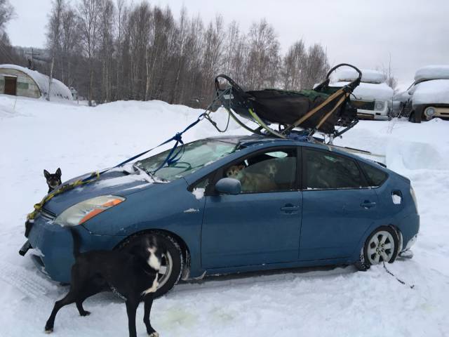 Daily Picdump [WEEKEND EDITION]