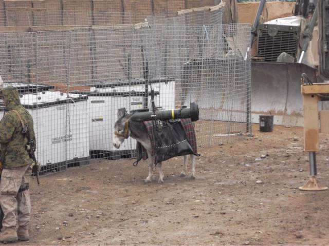 daily picdump weekend edition 51 pics 9.html - 51 HD Photos | Premium Gallery 2018