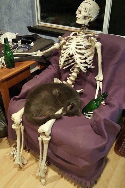 daily picdump weekend edition 51 pics 9.html - 51 HD Photos | Premium Gallery 2018