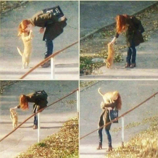 daily picdump weekend edition 51 pics 9.html - 51 HD Photos | Premium Gallery 2018