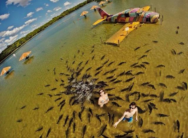 daily picdump 102 pics 41.html - 102 HD Photos | Premium Gallery 2018