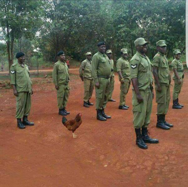 daily picdump 102 pics 41.html - 102 HD Photos | Premium Gallery 2018