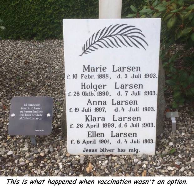 daily picdump 102 pics 41.html - 102 HD Photos | Premium Gallery 2018