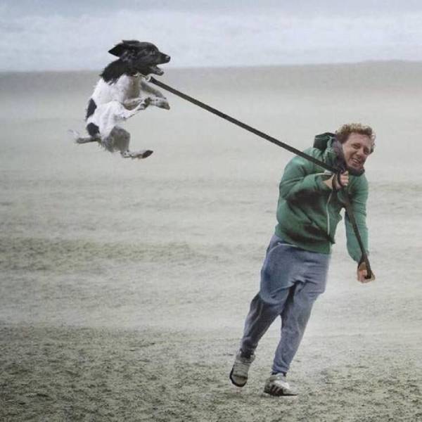 daily picdump 102 pics 41.html - 102 HD Photos | Premium Gallery 2018