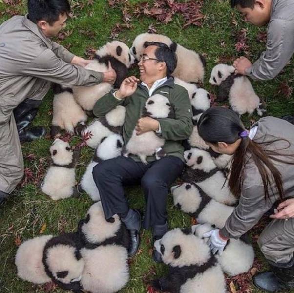 daily picdump 102 pics 41.html - 102 HD Photos | Premium Gallery 2018