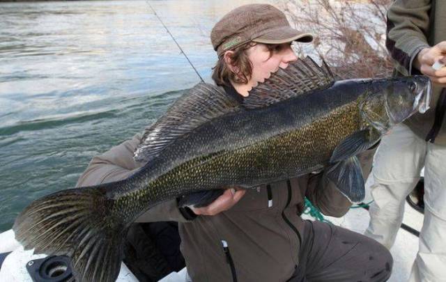 daily picdump 102 pics 41.html - 102 HD Photos | Premium Gallery 2018