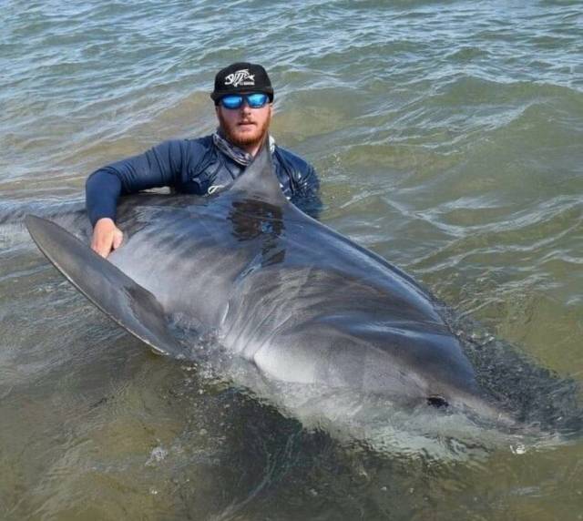 daily picdump 102 pics 41.html - 102 HD Photos | Premium Gallery 2018