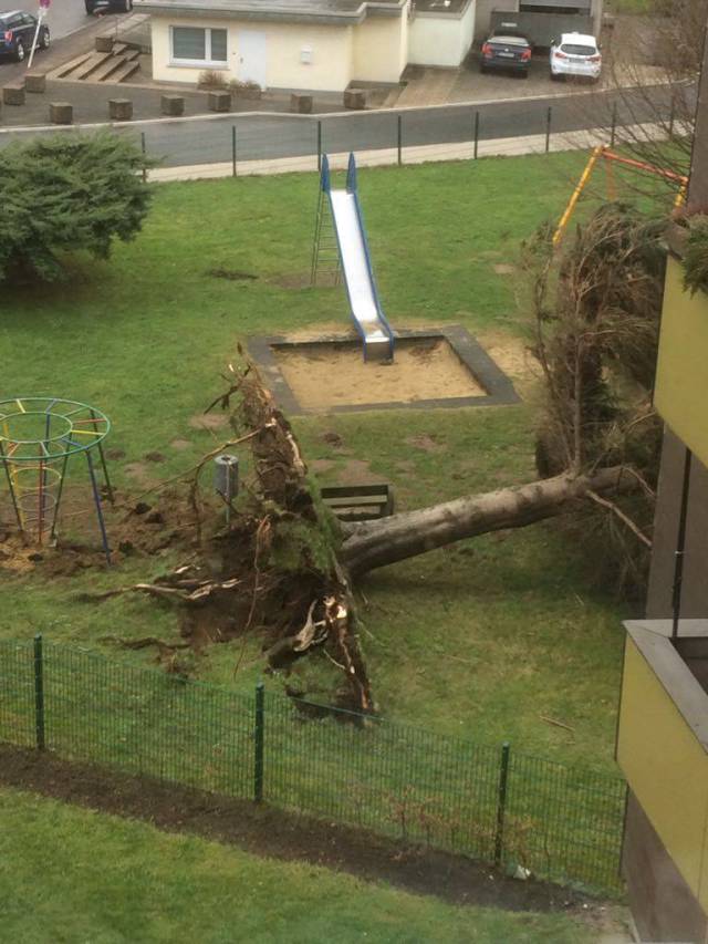 daily picdump 102 pics 41.html - 102 HD Photos | Premium Gallery 2018