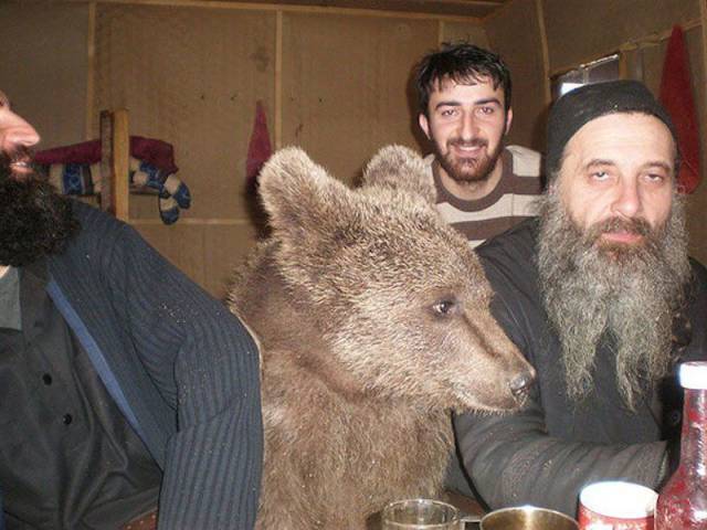 daily picdump 96 pics 28.html - 96 HD Photos | Premium Gallery 2018