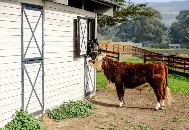 daily picdump 96 pics 28.html - 96 HD Photos | Premium Gallery 2018