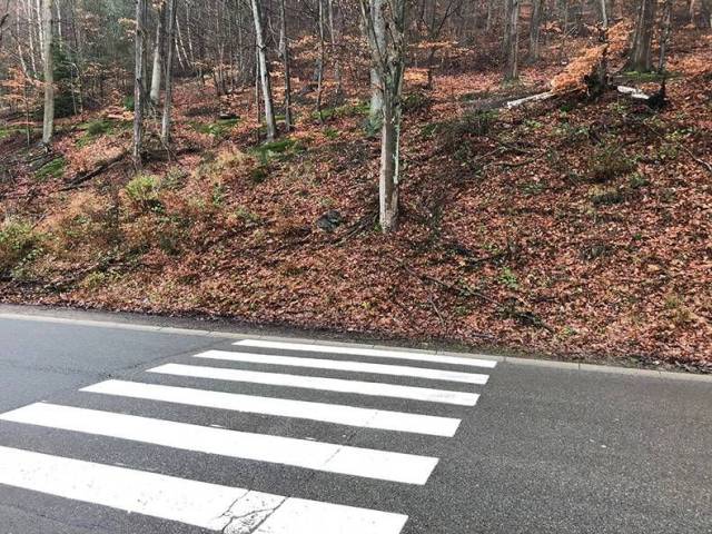 daily picdump 96 pics 28.html - 96 HD Photos | Premium Gallery 2018